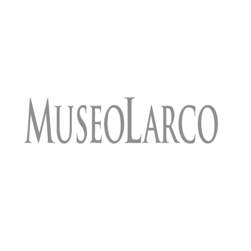 museo-removebg-preview